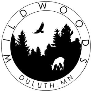 visit duluth events