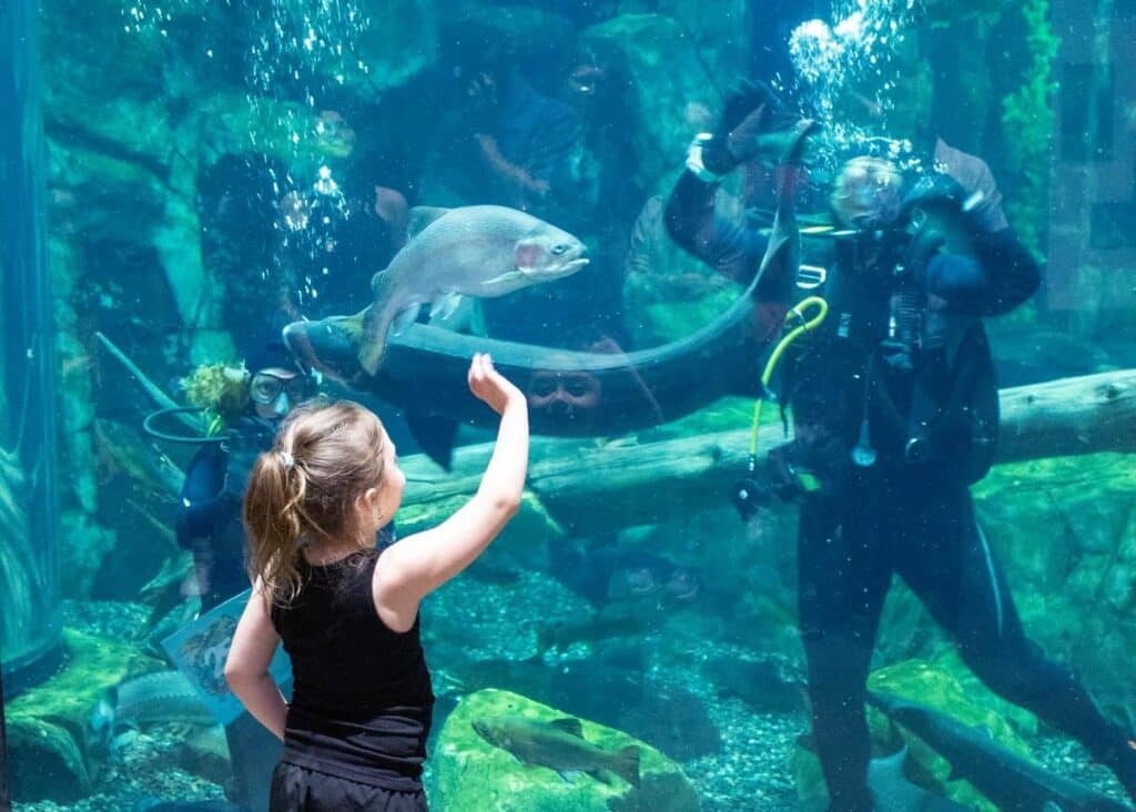 Great Lakes Aquarium